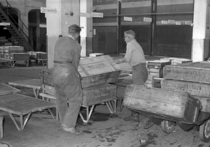 841970 Afbeelding van het overladen van vis bij de visveiling te IJmuiden.